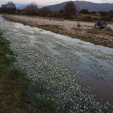 La Cantina Casas Rurales Paredes Villar de Corneja Esterno foto